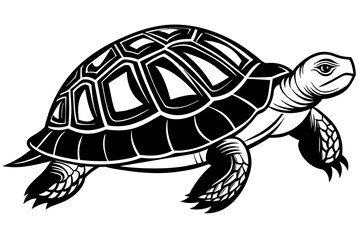 turtle silhouette vector illustration