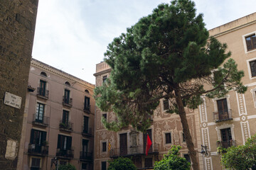 Santa Maria del Pi, Gotisches Viertel, Barcelona, Spanien