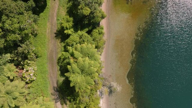 Aerial:  hiking trail along the calm Lake Tarawera and native forest of Punga fern trees, Rotorua, Bay of Plenty, New Zealand.