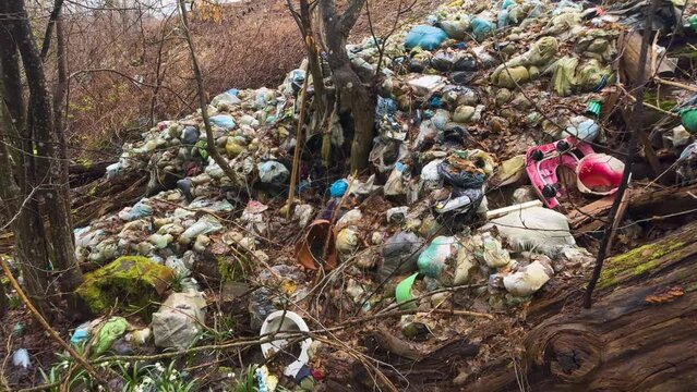 heaps of garbage slide into the forest, onto a delicate fragrant field of spring flowers, snowdrops, primroses, white flowers. Very rude, uncultured, uncivilized