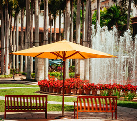red flowers  bench in the park coral gables miami 