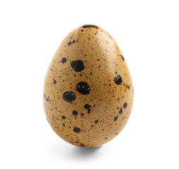 Fresh quail egg on white background