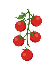 Branch of fresh Cherry tomato. Red farm tomato plant icon. Organic vegetables vegetarian food. Vector illustration isolated on white background.