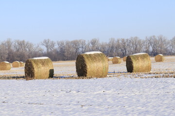 hay bales in the field with snow