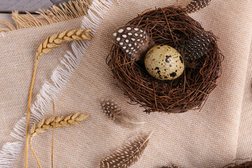 Nest with fresh quail egg and feathers on napkin