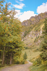 mountain road in autumn