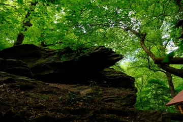 Gordijnen massive mossy rock with trees behind © Iskander