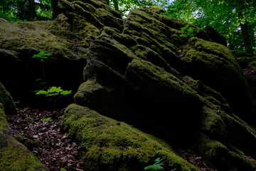massive mossy rock with trees behind