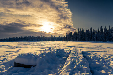 Une forêt et une étendue de neige au lever du soleil en Laponie en Suède - obrazy, fototapety, plakaty