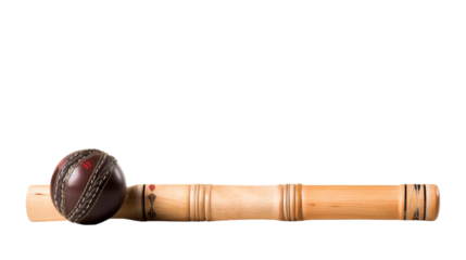 A cricket ball and bat poised on a white background