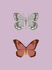 Set of Stylist Butterfly vector illustrations