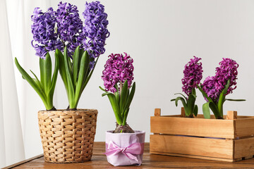 Fresh hyacinth flowers in pots and crate on wooden table near light wall