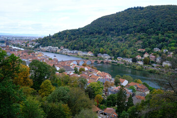 Fototapeta na wymiar view on heidelber, bridge and on the river neckar