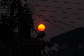 Silhouette of building with sunset in the background