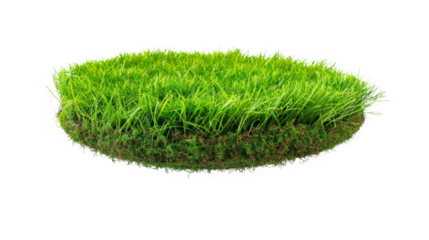 Lush Green Grass Island