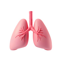 3d illustration of stylized human lungs isolated on transparent background . Inspired by 3d design trends