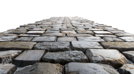 Cobblestone Path Perspective View