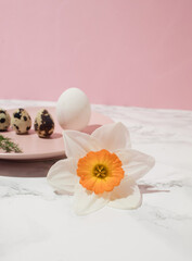 Fototapeta na wymiar Chicken egg, quail eggs and narcissus on pink plate on kitchen marble background. Healthy raw food concept