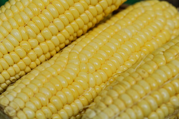 corn texture and background