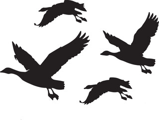 Naklejka premium various flying goose silhouette illustration