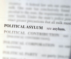 close up photo of the words political asylum