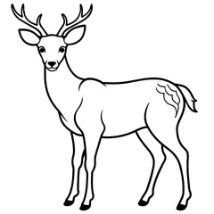 Fototapeta premium deer line art, silhouette vector illustration.