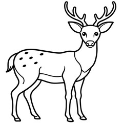 deer line art, silhouette vector illustration.