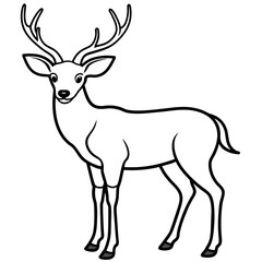 deer line art, silhouette vector illustration.