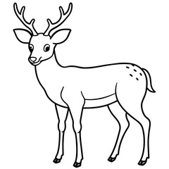 Obraz premium deer line art, silhouette vector illustration.