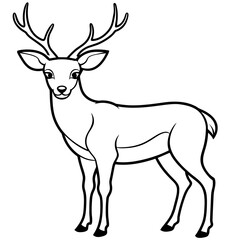 deer line art, silhouette vector illustration.