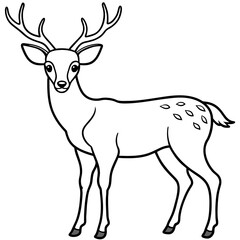 deer line art, silhouette vector illustration.