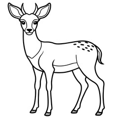 deer line art, silhouette vector illustration.