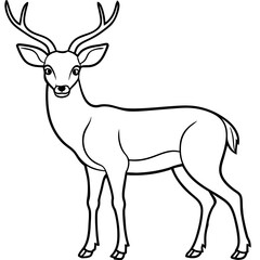 deer line art, silhouette vector illustration.