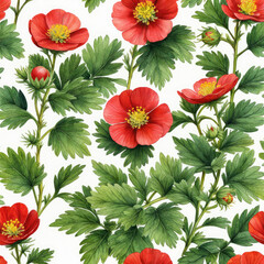 Background with Potentilla anserina with red flowers. Watercolor. - obrazy, fototapety, plakaty