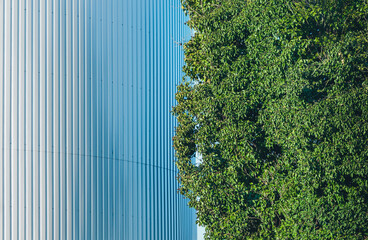 green tree leaves against a fluted metal façade  - 774432674