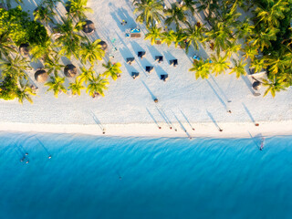 Aerial view of green palm trees, umbrellas on the sandy beach of Indian Ocean at sunset. Summer holiday in Kendwa, Zanzibar island. Tropical landscape with palms, white sand, clear blue sea. Top view - 774433614