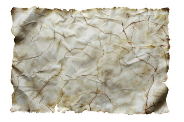 Fototapeta premium Vintage Crumpled Paper Texture