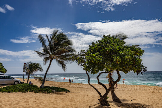 Relaxation Paradise: Sandy Beach on Oahu, Hawaii 