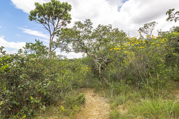 paisagem natural no distrito de Conselheiro Mata, na cidade de Diamantina, Estado de Minas Gerais, Brasil