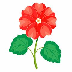  the Beauty of Geranium Flowers Tips, Care, and Varieties