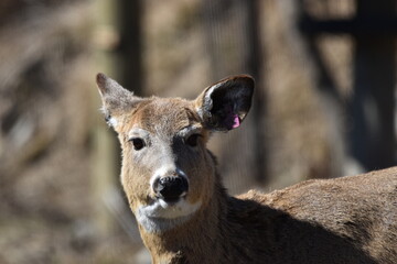 Economuséum 31 Mars 2024 (335)