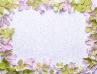 Floral frame from hydrangea flowers isolated on a white background. View from above, copy space
