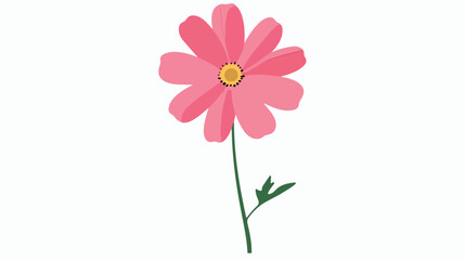 Illustration of a pink flower on a white background