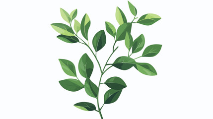Illustration of a plant with elongated leaves on a