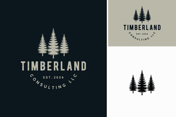 Silhouette of three pines tree similar with evergreen fir conifer spruce cedar larch cypress tree. Forest Landscape classic vintage logo design - obrazy, fototapety, plakaty