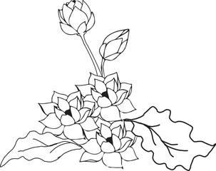 bouquet of roses,sketch of a flower,illustration of a flower,bouquet of flowers,flower in vase,colouring page,
