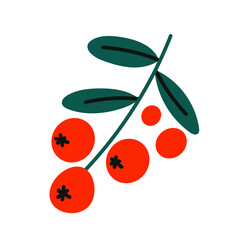 Vector illustration of north forest berries. Cranberry isolated on white background