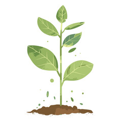  Textured green plant sprouting from soil.
