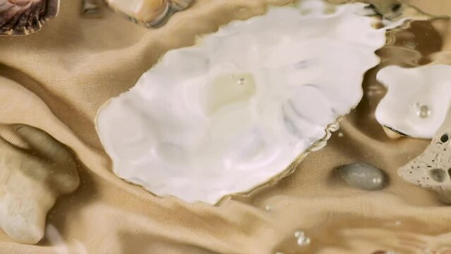 Imitation of the seabed. Oyster and scallop shells, sea pebbles on sand-colored fabric underwater. Ripples on the surface of clear water.