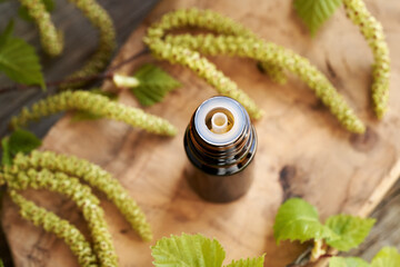 A brown bottle of essential oil with birch tree branches with catkins and young leaves harvested in...
